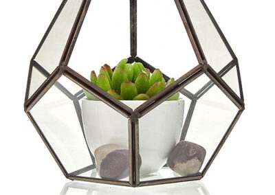 Glass Terrarium - Large Octagon