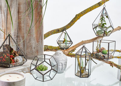 Glass Terrarium - Large Octagon