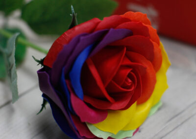 Luxury Soap Flower - Rainbow