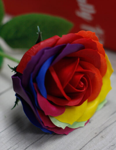 Luxury Soap Flower - Rainbow