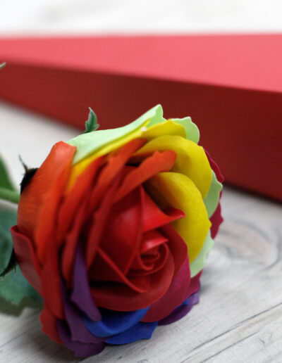 Luxury Soap Flower - Rainbow