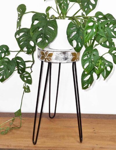 Albasia Wood Plant Stand - Whitewash