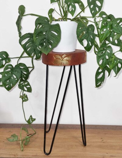 Albasia Wood Plant Stand - Whitewash