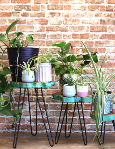 Set of 3 Gamal Wood Plant Stands - Greenwash