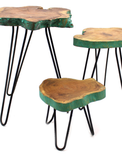 Set of 3 Gamal Wood Plant Stands - Greenwash
