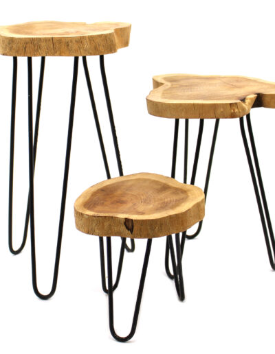 Set of 3 Gamal Wood Plant Stands - Natural
