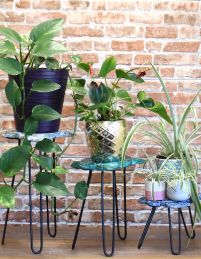 Set of 3 Albasia Wood Plant Stands - Turtles