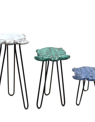 Set of 3 Albasia Wood Plant Stands - Turtles