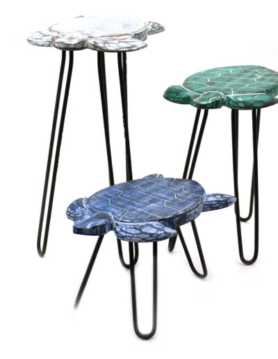 Set of 3 Albasia Wood Plant Stands - Turtles