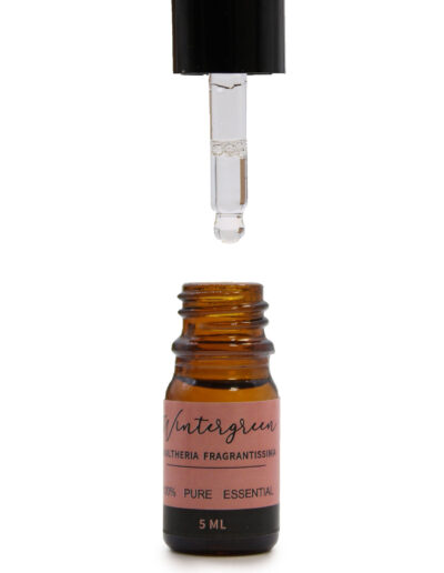 Aromatherapy Essential Oil Set - The Top 12