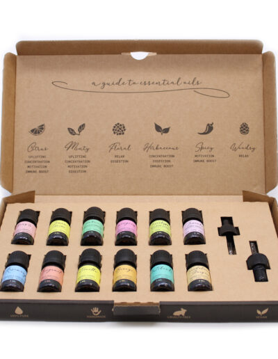 Aromatherapy Essential Oil Set - The Top 12