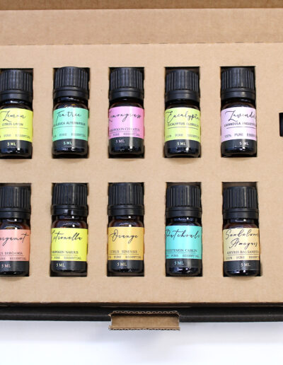 Aromatherapy Essential Oil Set - The Top 12