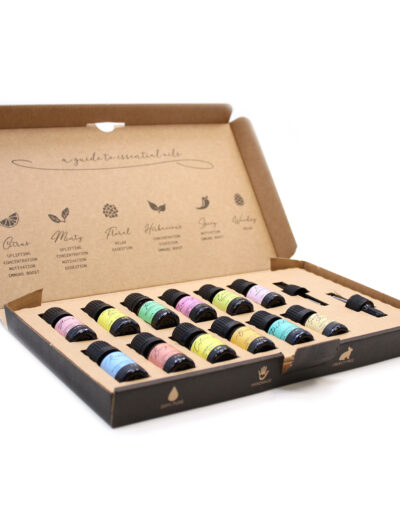 Aromatherapy Essential Oil Set - The Top 12