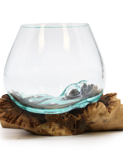 Molten Glass on Rare Parasite Wood