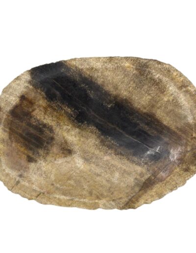 Petrified Wood Black Soap Dish