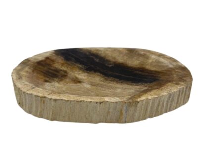 Petrified Wood Black Soap Dish