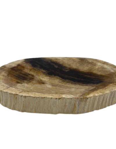 Petrified Wood Black Soap Dish