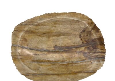 Petrified Wood Brown Soap Dish