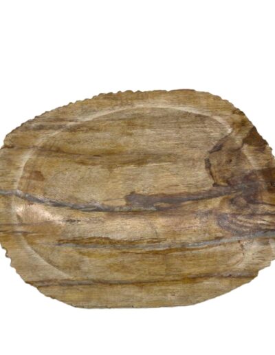 Petrified Wood Brown Soap Dish