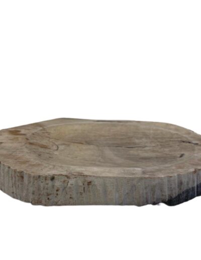 Petrified Wood Brown Soap Dish