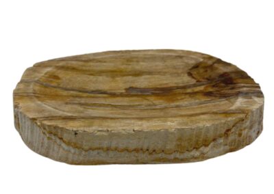 Petrified Wood Brown Soap Dish