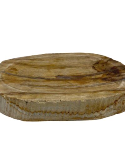 Petrified Wood Brown Soap Dish