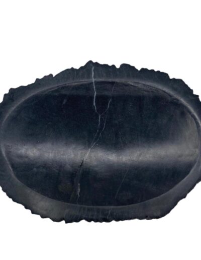 Petrified Wood Black Soap Dish