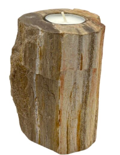 Petrified Wood Candle Holder - Single Tall