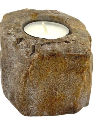 Petrified Wood Candle Holder - Single Low
