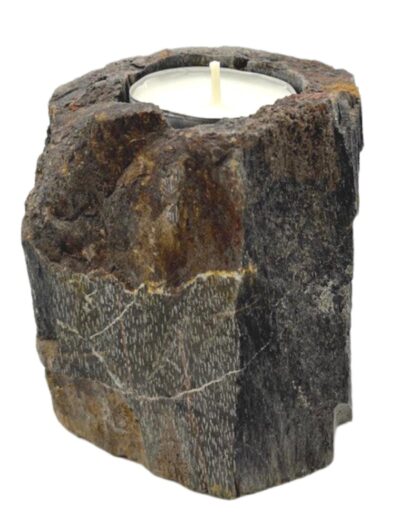 Petrified Wood Candle Holder - Single Low