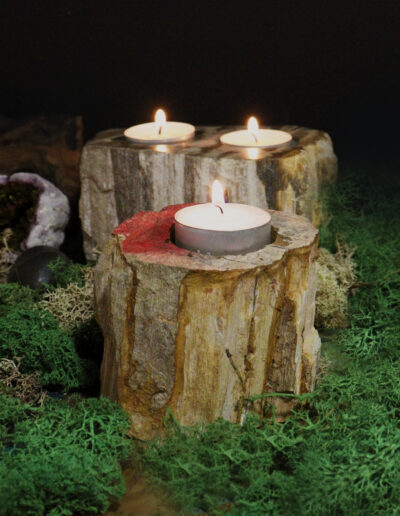 Petrified Wood Candle Holder - Single Low