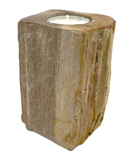 Petrified Wood Candle Holder - Single Tall