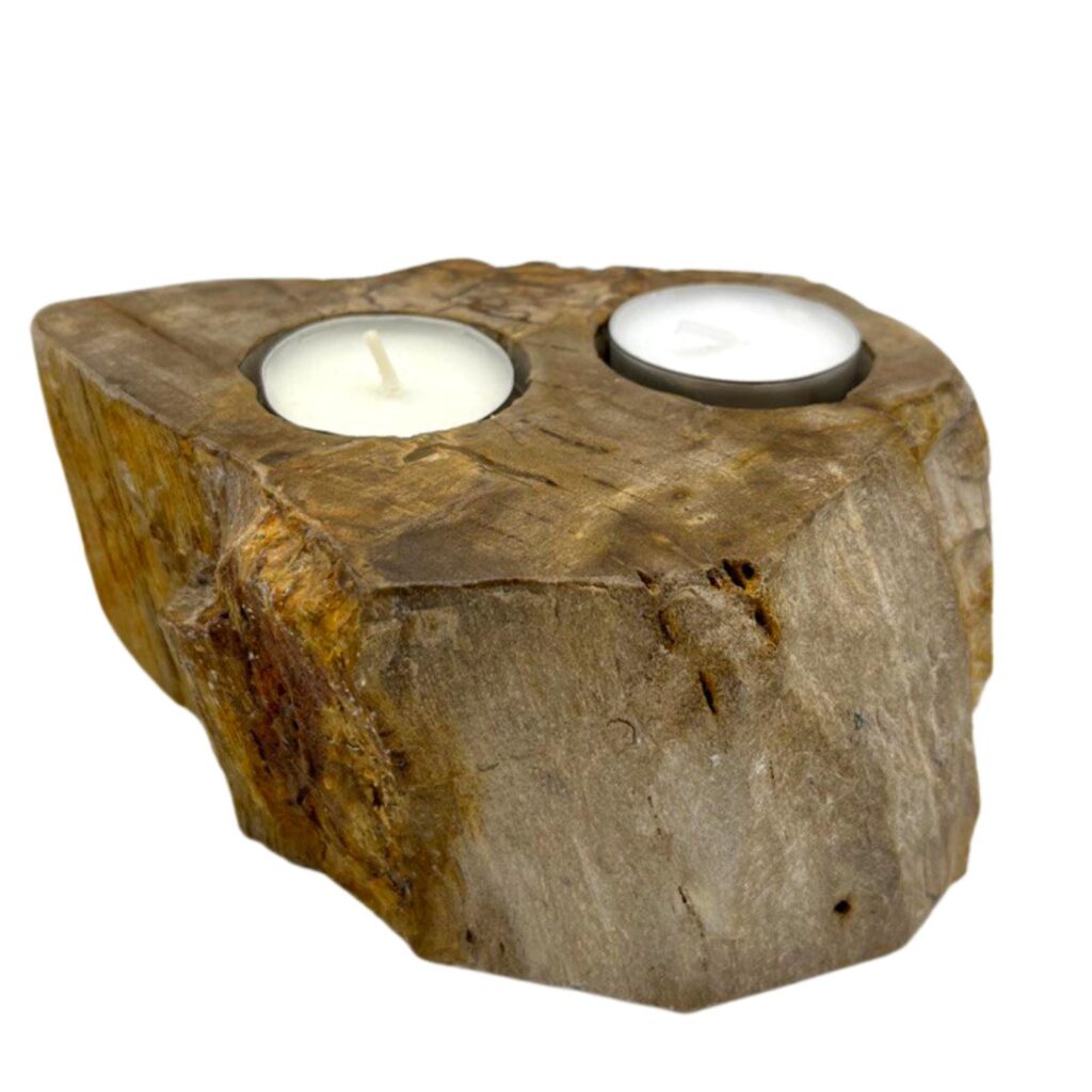 Petrified Wood Candle Holder - Double