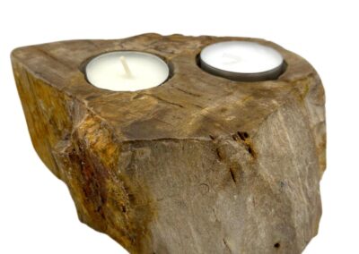Petrified Wood Candle Holder - Double