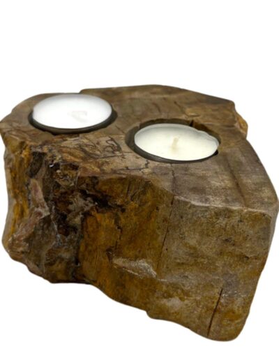Petrified Wood Candle Holder - Double