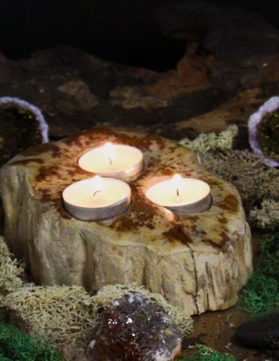Petrified Wood Candle Holder - Triple