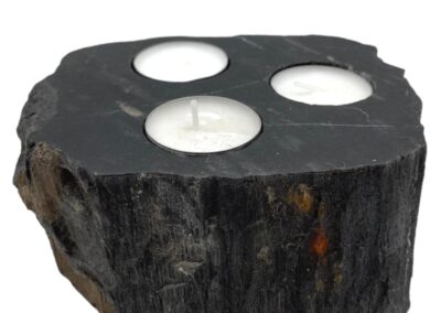Petrified Wood Candle Holder - Triple