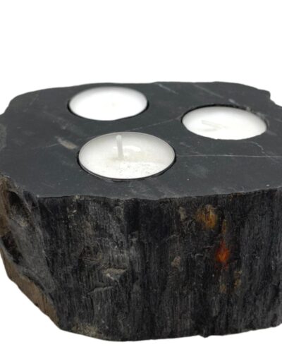 Petrified Wood Candle Holder - Triple