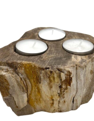 Petrified Wood Candle Holder - Triple