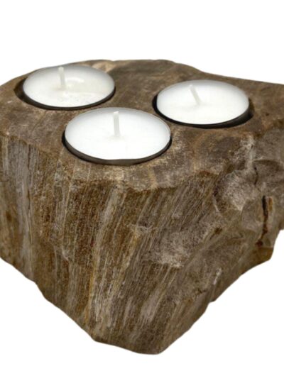 Petrified Wood Candle Holder - Triple