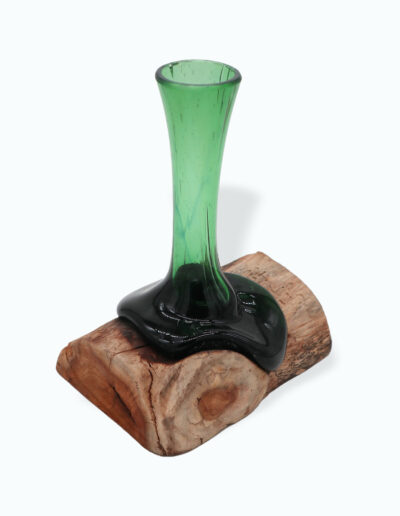 Recycled Beer Bottles Large Fancy Sweet Bowl on Wood