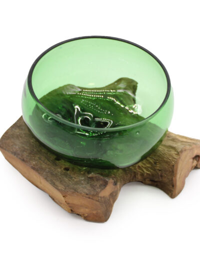 Recycled Beer Bottles Wide Bowl on Wood