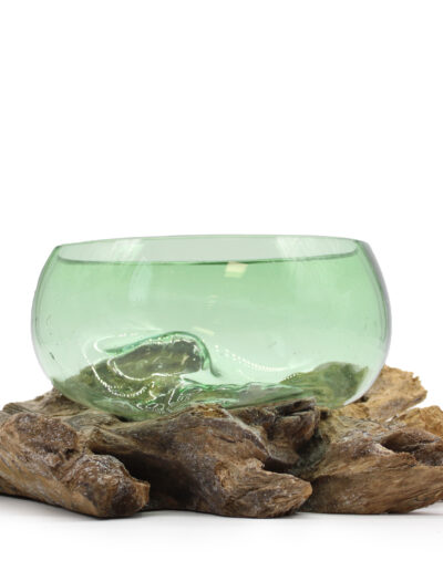 Recycled Beer Bottles Large Wide Bowl on Wood