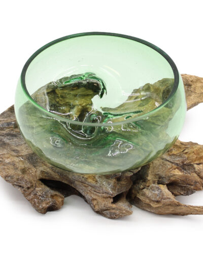 Recycled Beer Bottles Large Wide Bowl on Wood