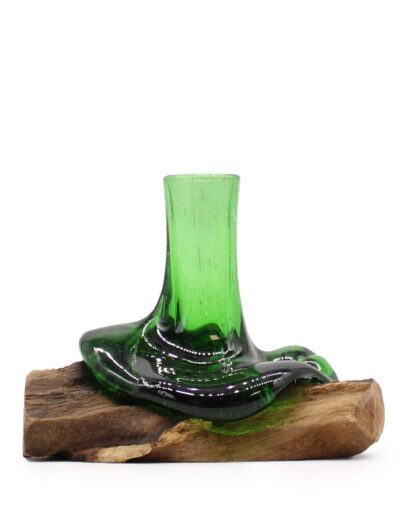 Recycled Beer Bottles Mini Flower Vase on Wood