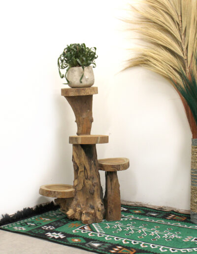 Natural Teak 4 Shelf Display 75cm high