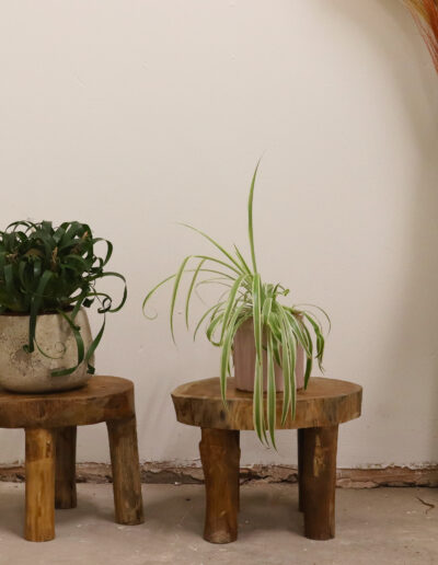 Higher Teak Pad Display - 27 x 20 cm