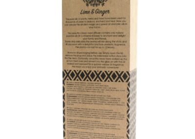 200ml Lime & Ginger Essential Oil Reed Diffuser