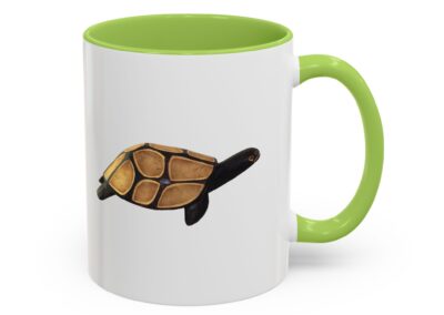Turtle Accent Coffee Mug